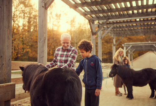 MagicBreaks lvnp farm carousel banner