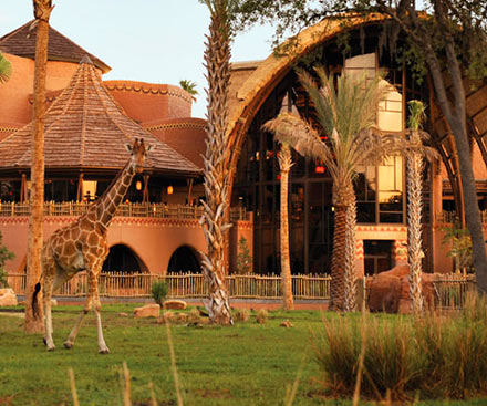 Disney's Animal Kingdom Lodge