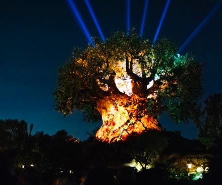 Beacons of Magic Shine at Walt Disney World Theme Parks Beacons of Magic Shine at Walt Disney World Theme Parks