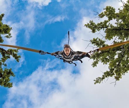 Bungee Trampoline