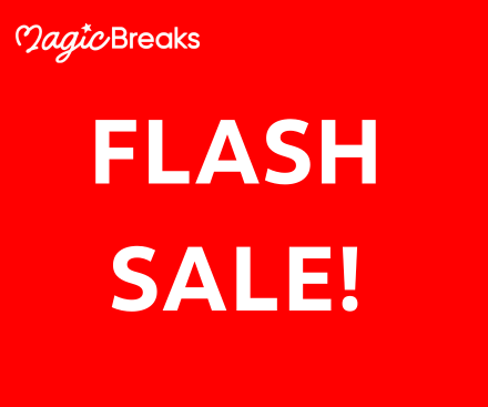 Flash Sale!