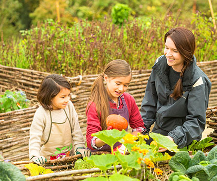 Conoce al jardinero