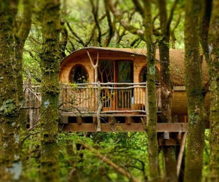 Luxury Treehouse Experience Luxury Treehouse Experience
