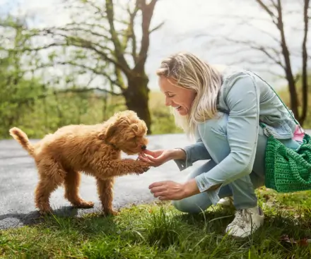 Pets Go FREE at Center Parcs Europe Pets Go FREE at Center Parcs Europe