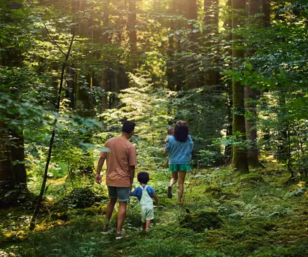 Early Booker Savings for Center Parcs Europe Holidays in 2025!