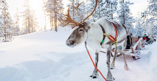 Lapland Holidays