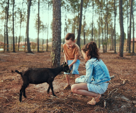 The Children's Farm