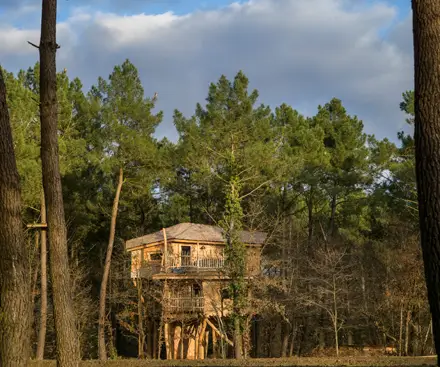 2-Bedroom Treehouse