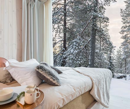 Luxury Arctic Treehouse Hotel