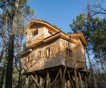 3-Bedroom Treehouse