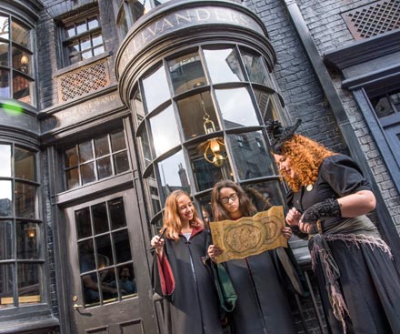 Ollivanders™: Makers of Fine Wands since 382 BC