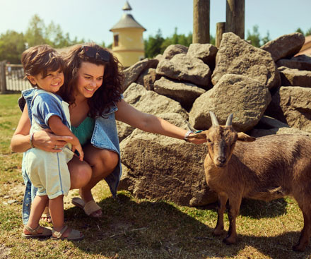 The Children's Farm