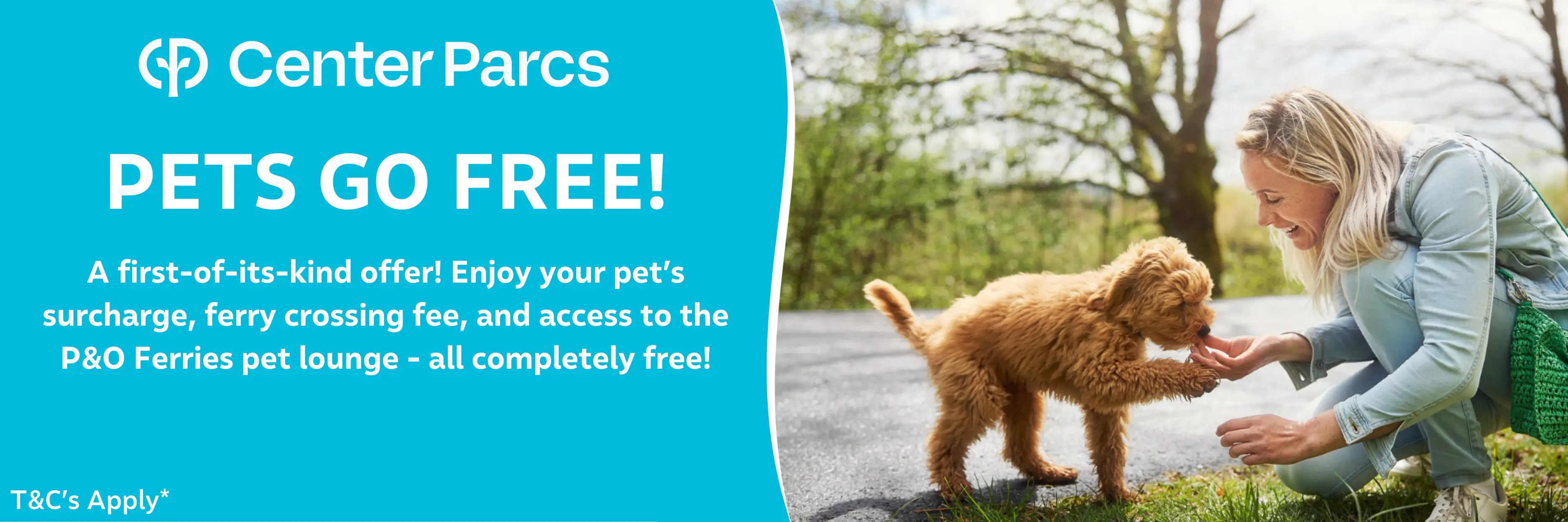 MagicBreaks CPE PET OFFER carousel banner