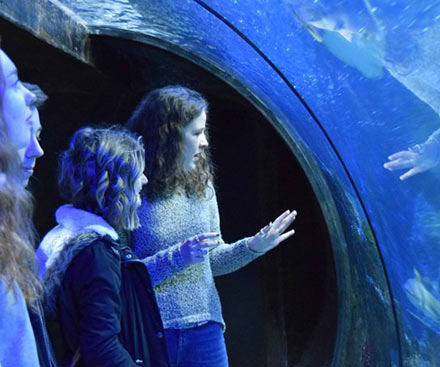 Sharkbait Reef by SEA LIFE Sharkbait Reef by SEA LIFE