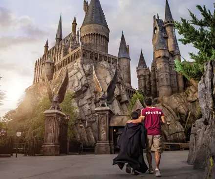 Harry Potter and the Forbidden Journey™