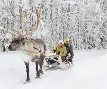 2025 Lapland Day Trips