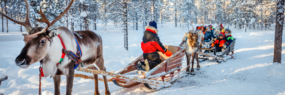 MagicBreaks Sleigh Bells Ringing 2025 carousel banner