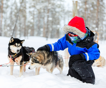 Santa's Lapland Holidays