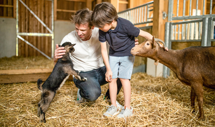 Winter 2026/2027 Offers