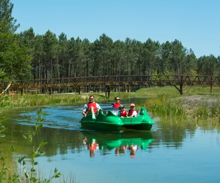 Pedalos