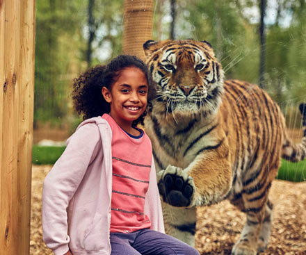 Chessington World of Adventures Chessington World of Adventures