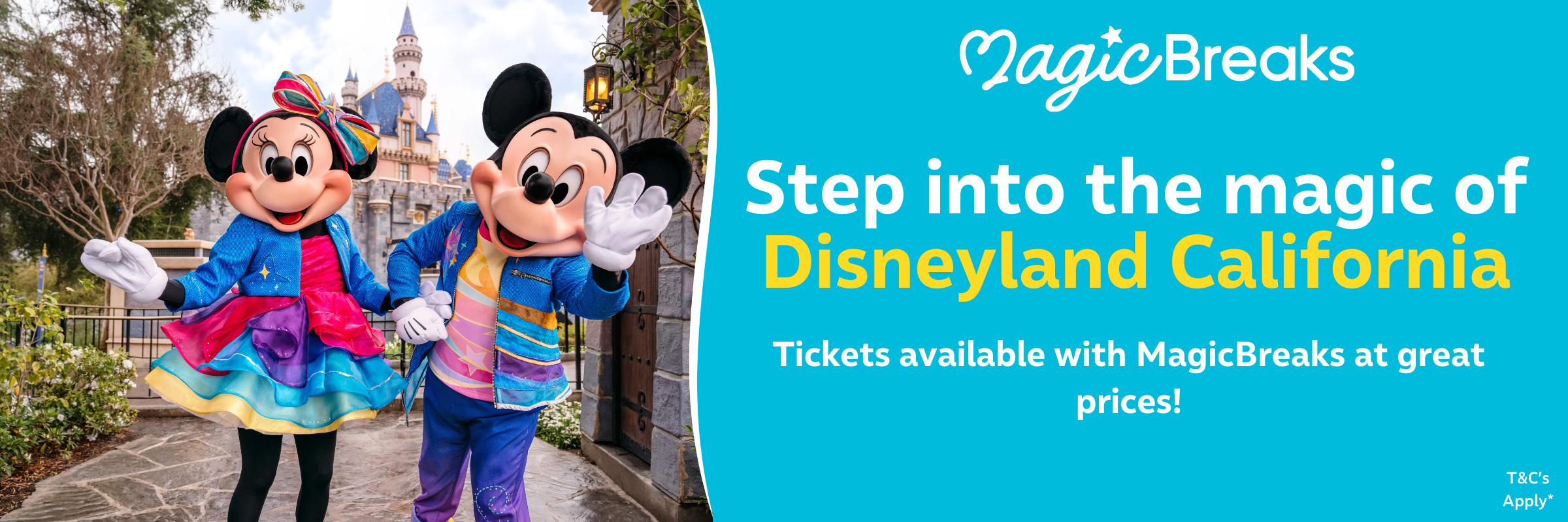 DISNEYLAND CALIFORNIA MagicBreaks DISNEYLAND CALIFORNIA carousel banner
