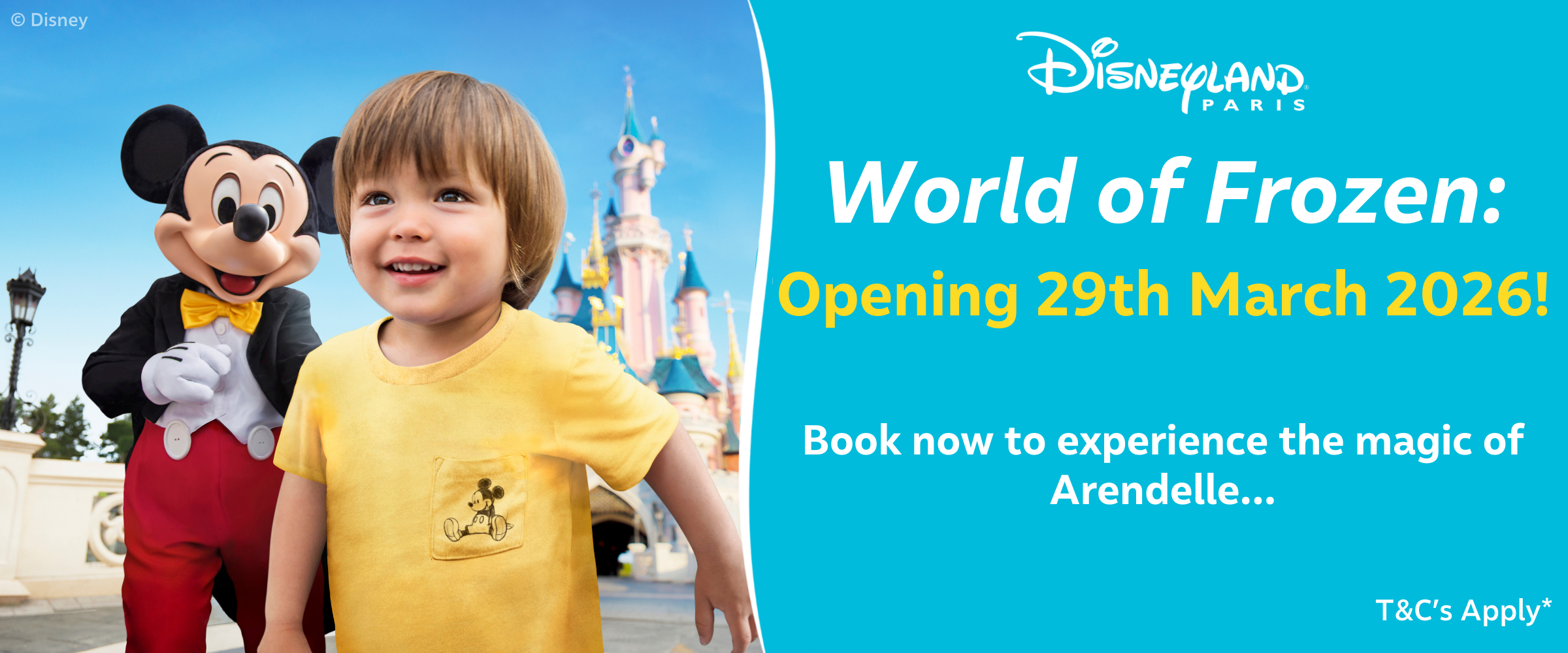 MagicBreaks World of Frozen carousel banner