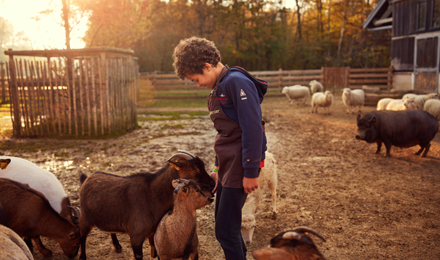 The Children's Farm The Children's Farm