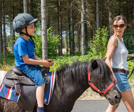 Pony Rides