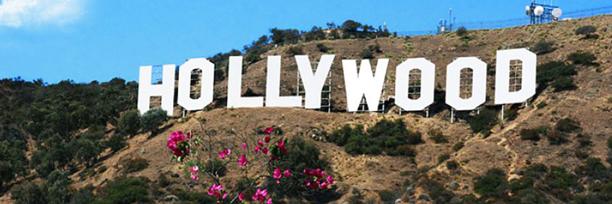 La & Hollywood Hop On Hop Off City Sightseeing Tour 